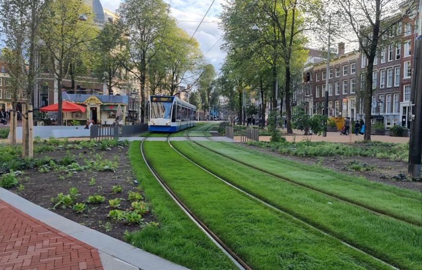 our long term vision proposal